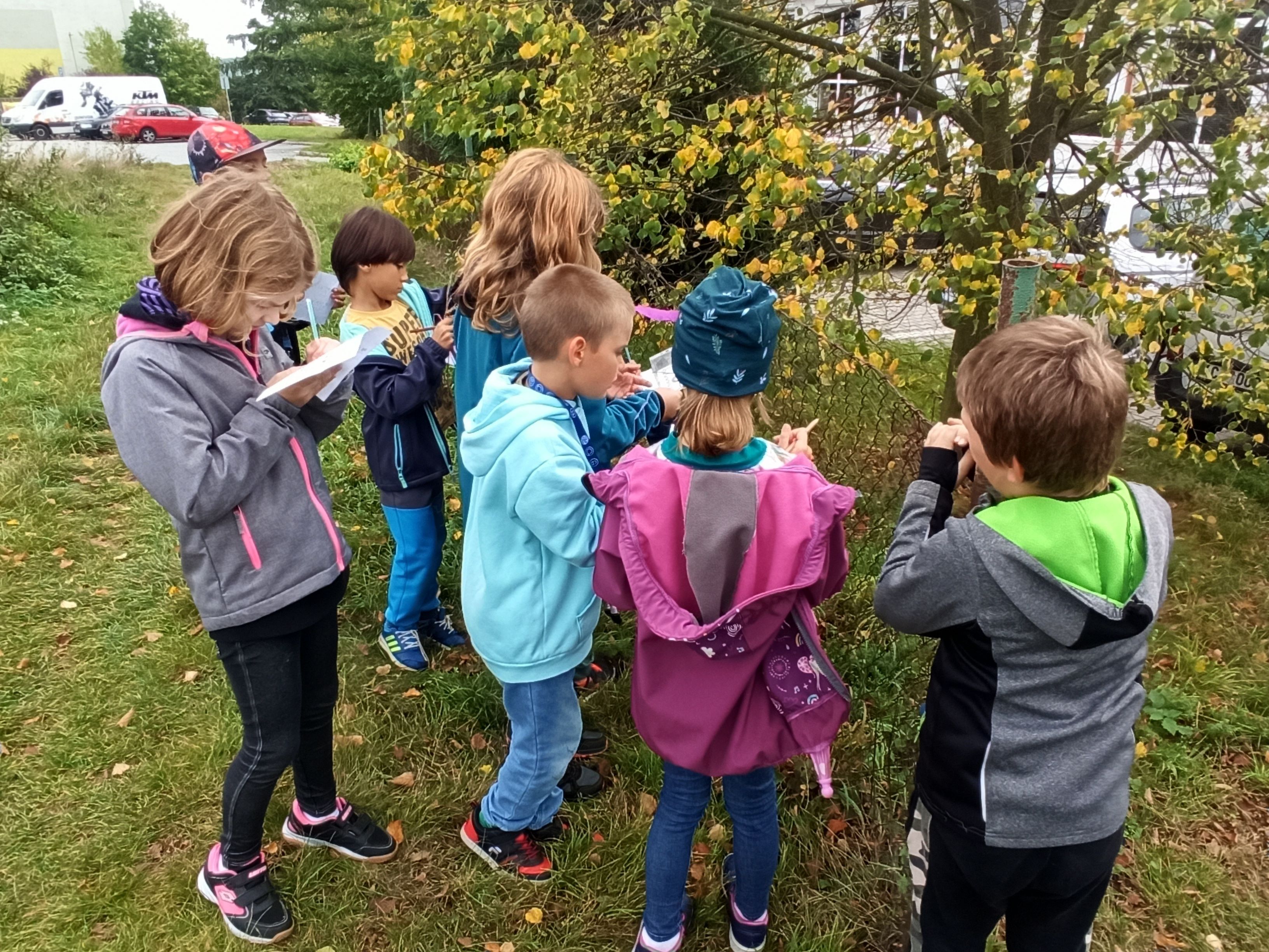 Děti pozorují listí na stromech na podzim