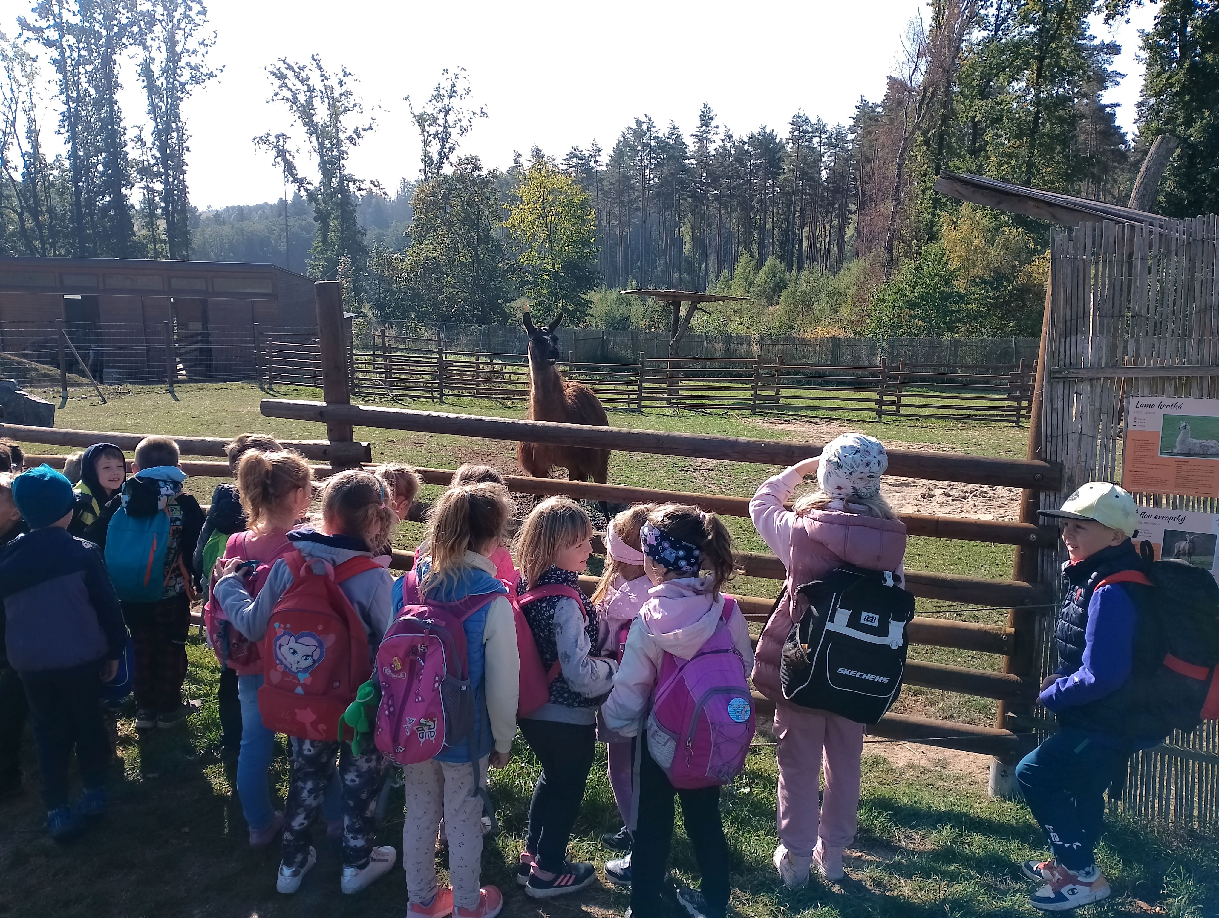 ZOO Tábor - výběh zvířat